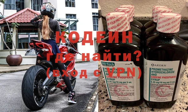 эйфоретик Алзамай