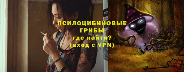эйфоретик Алзамай