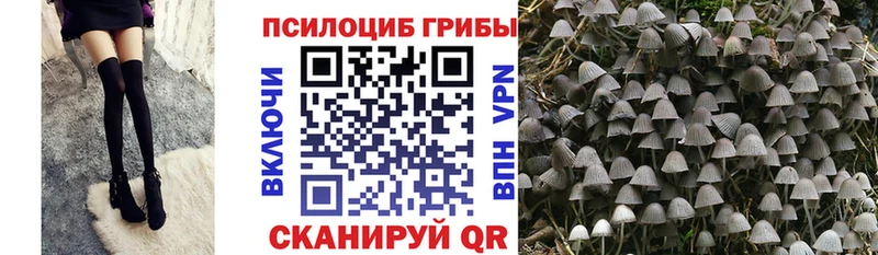 Галлюциногенные грибы мухоморы Купить где Чита